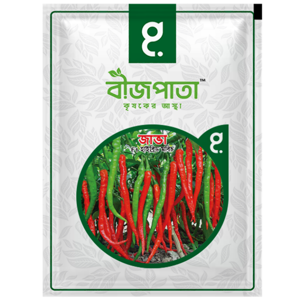জাভা এফ১ হাইব্রিড মরিচ বীজ। Java F1 Hybrid Chilli Seeds