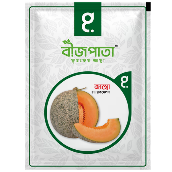জাম্বো এফ১ হাইব্রিড রকমেলন বীজ। Jumbo F1 Hybrid Rockmelon Seeds