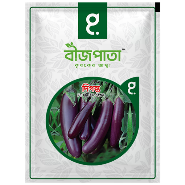 দিগন্ত এফ১ হাইব্রিড বেগুন৷ Diganta F1 Hybrid Eggplant