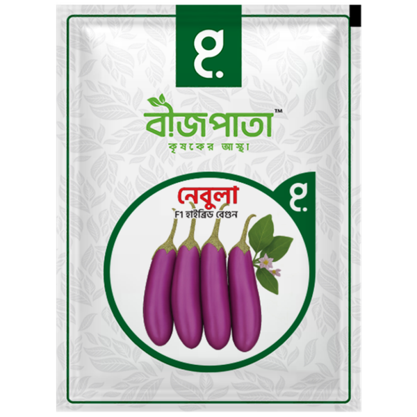 নেবুলা এফ১ হাইব্রিড বেগুন বীজ৷ Nebula F1 Hybrid Brinjal Seeds