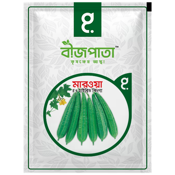 মারওয়া ঝিঙা বীজ Marwa Luffa Seed