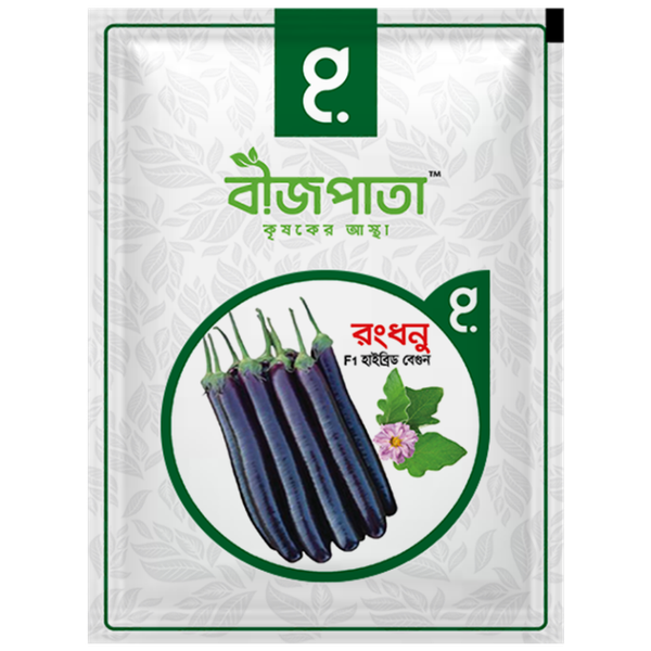 রংধনু বেগুন বীজ Rongdhonu Brinjal / Eggplant Seed