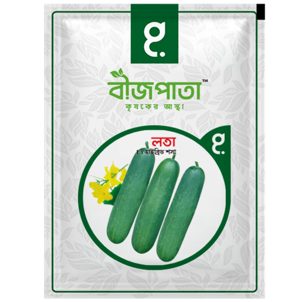 লতা শসা বীজ Lota Cucumber Seed