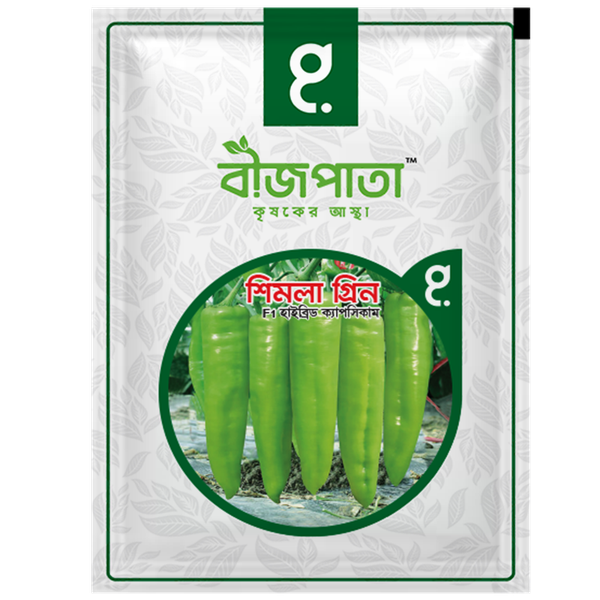 শিমলা গ্রিন সুইট পেপার ক্যাপসিকাম বীজ Shimla Green Capsicum / Sweet Pepper Seed