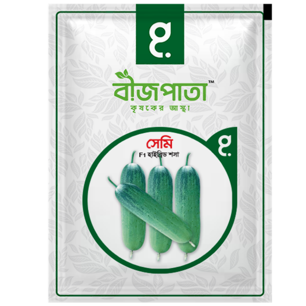 সেমি শসা বীজ Semi Cucumber Seed