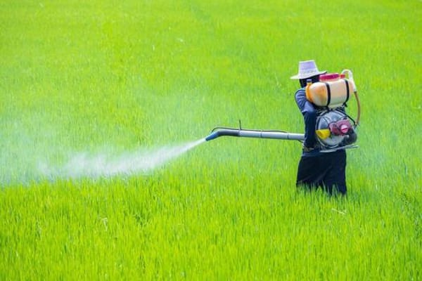Pesticides and Fertilizer