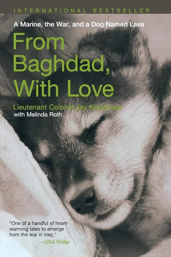 From Baghdad, With Love: A Marine, the War, and a Dog Named Lava (Lava #1) by Jay Kopeiman