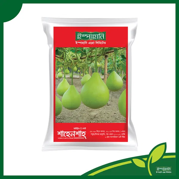 হাইব্রিড গোল লাউ বীজ শাহেনশাহ । F1 Hybrid Gourd Seeds Shahenshah