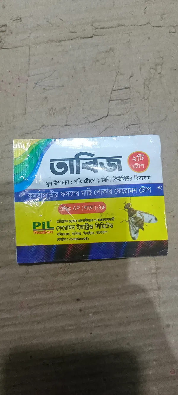 তাবিজ কুমড়াজাতীয় ফসলের মাছি পোকা দমনের ফেরোমন টোপ Tabiz