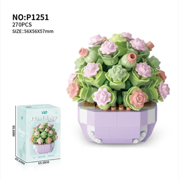 Succulent-Full House