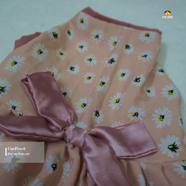 3 kg cat frock