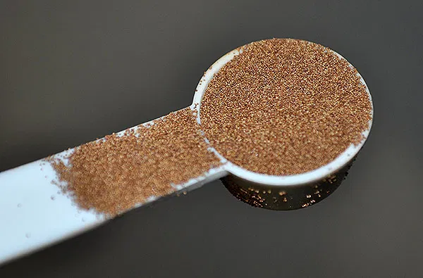 Live Food brine shrimp egg ( 20 grm)