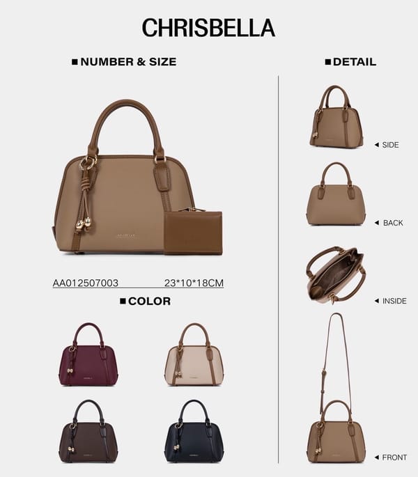 Ladies Handbag