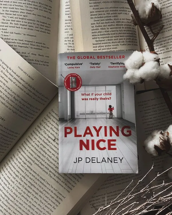 Playing Nice by Jp Delaney