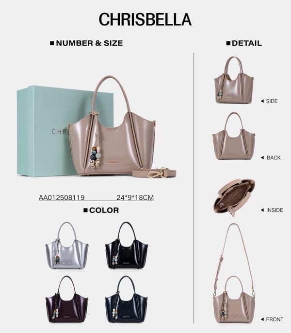 Ladies Handbag