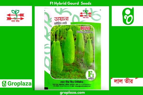 হাইব্রিড লাউ বীজ ডায়না । F1 Hybrid Gourd Seed Diana