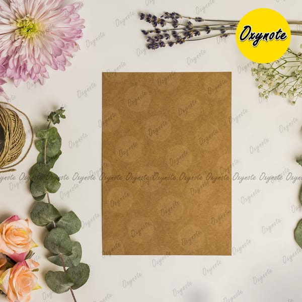 Blank Kraft Card by OXYNOTE - 25 Cards - 400GSM