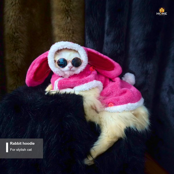 Rabbit cat hoodie (custome)