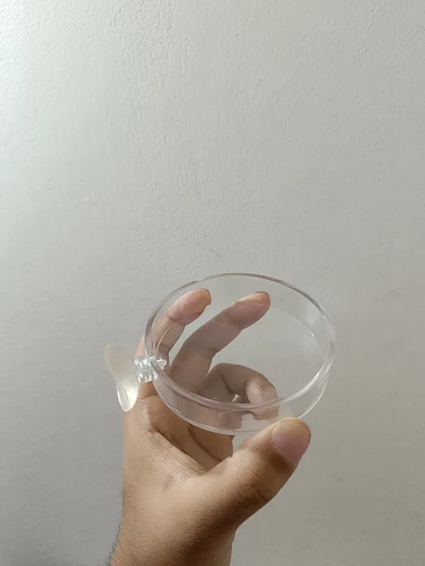 Fish Feeding Dish