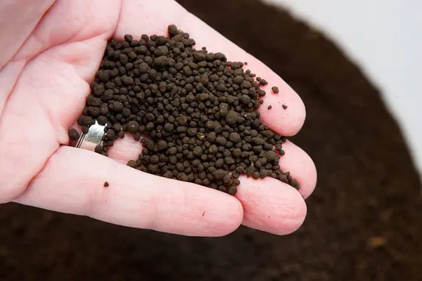 ADA Amazonia Soil V2  (1 kg repack)