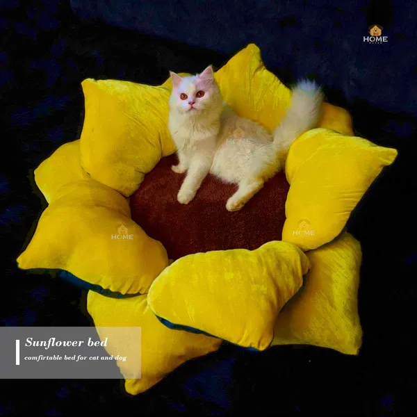 Sunflower bed