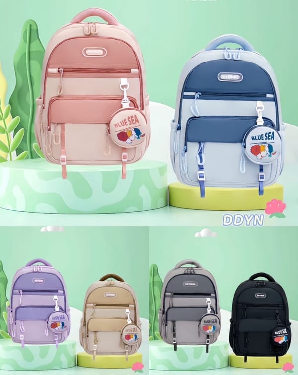 School Bag