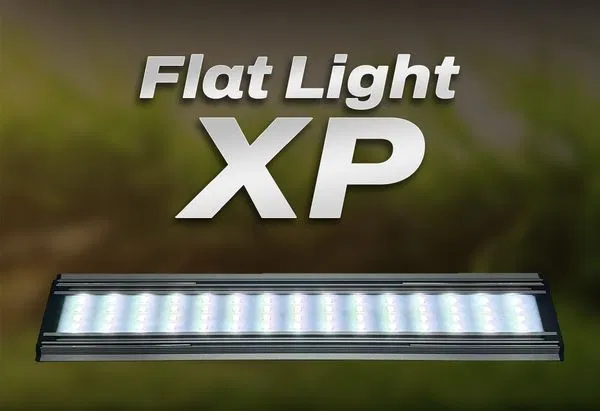 Neo helios XP 800 ( 4 feet light) 42watt