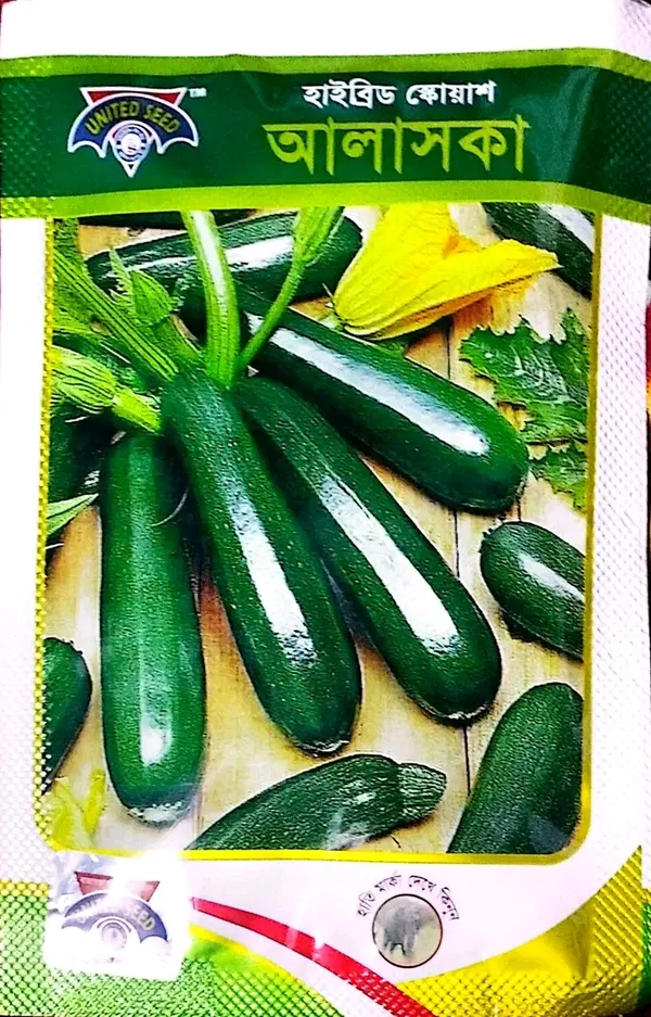 হাইব্রিড জাতের স্কোয়াস বীজ আলাস্কা। Hybrid variety squash seeds Alaska