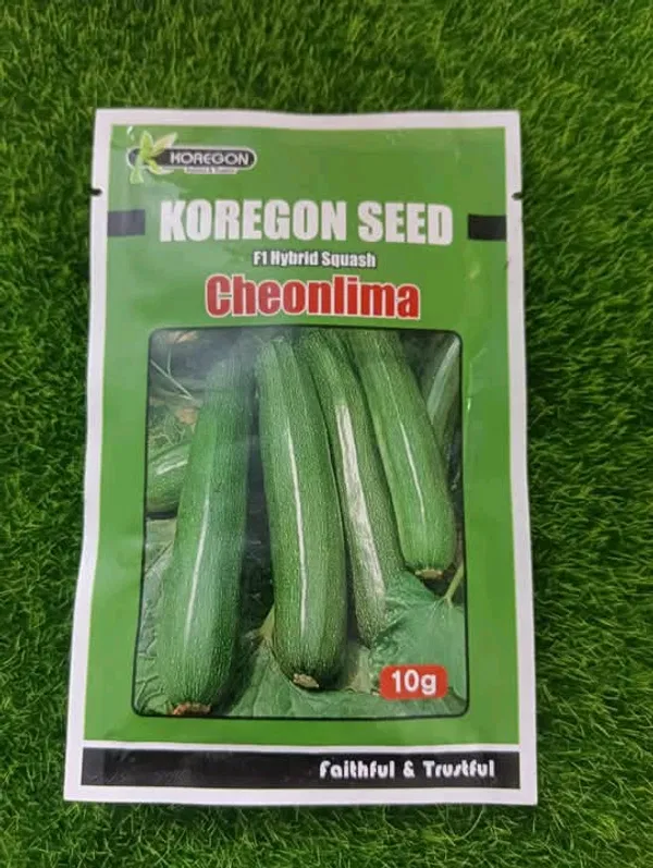 F1 হাইব্রিড কোরিয়ান স্কোয়াশ বীজ চিওনলিমা। F1 Hybrid Korean squash seed Cheonlima