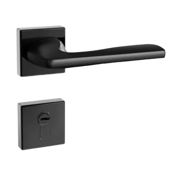 2 in 1 Handle Lock