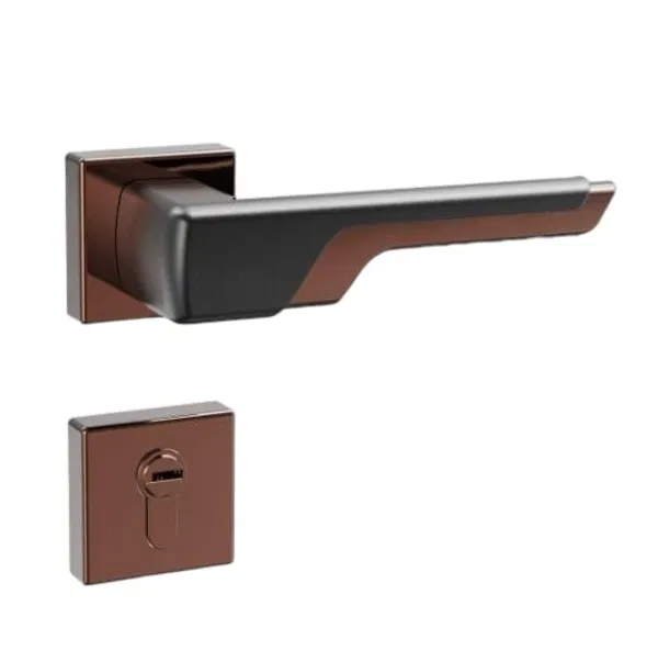 2 in 1 Handle Lock