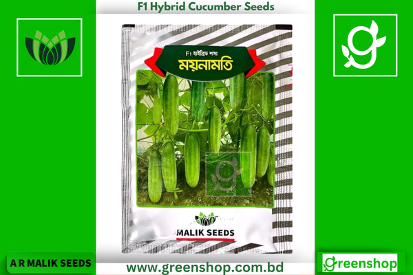 হাইব্রিড শসা বীজ - ময়নামত । F1 Hybrid Cucumber Seeds eeds Moynamoti