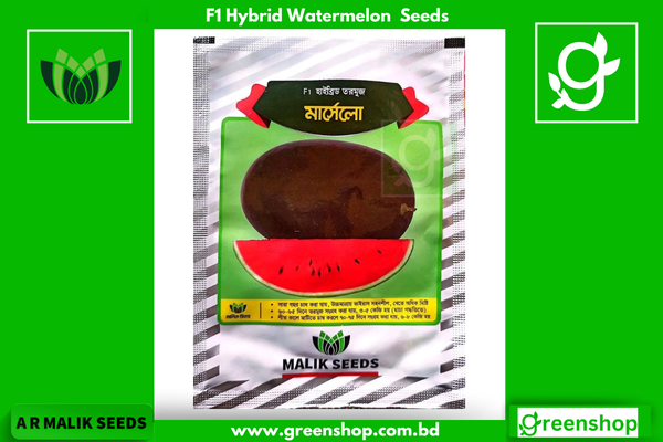 হাইব্রিড তরমুজ বীজ মার্সেলো । F1 Hybrid Watermelon seeds Marcelo