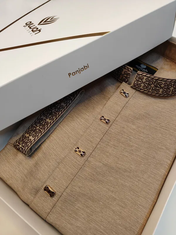 Majestic Embroidery Panjabi