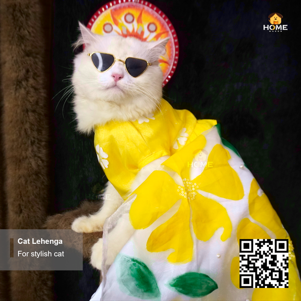 cat gown