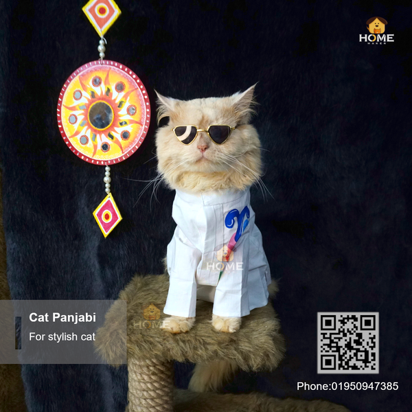 Cat panjabi