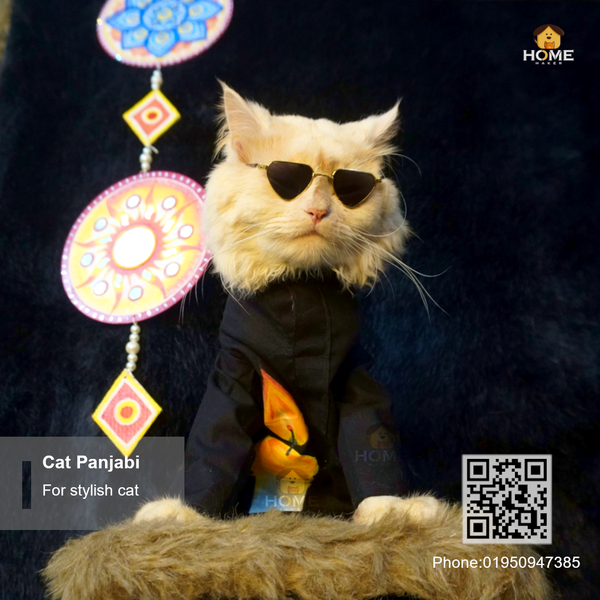 cat panjabi