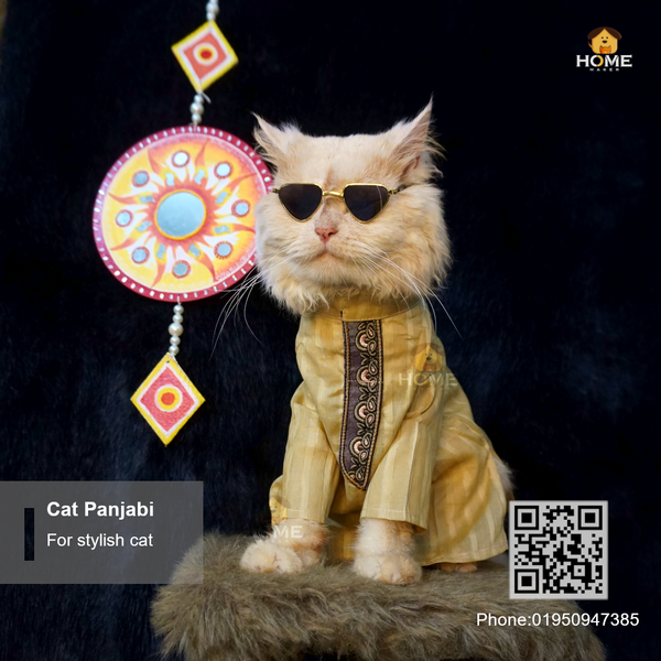 cat panjabi (2.5,6 kg)
