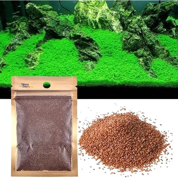Carpeting seed 1 pack
