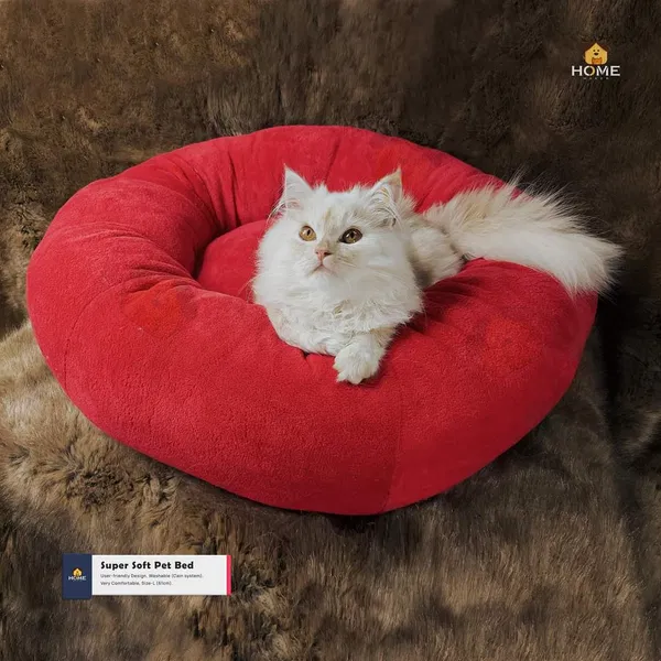 Cat ged