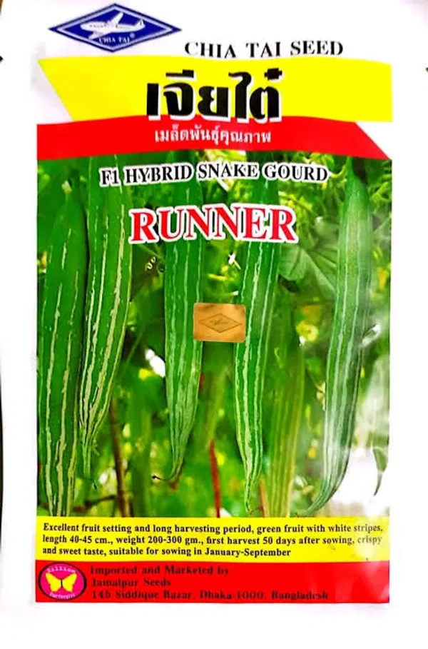হাইব্রিড চিচিঙ্গার বীজ রানার । F1 Hybrid Snake gourd seed Runner