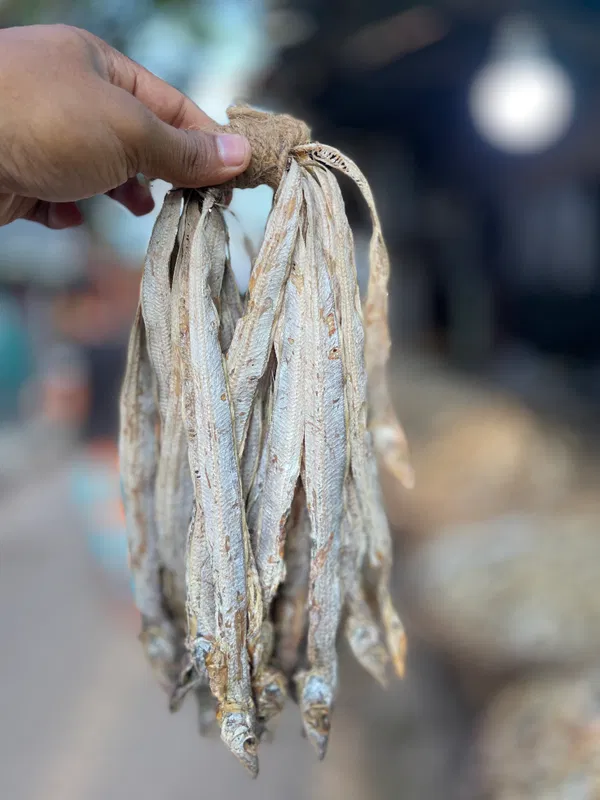 ছুরি শুঁটকি ছোট সাইজ  (Churi Shutki)
