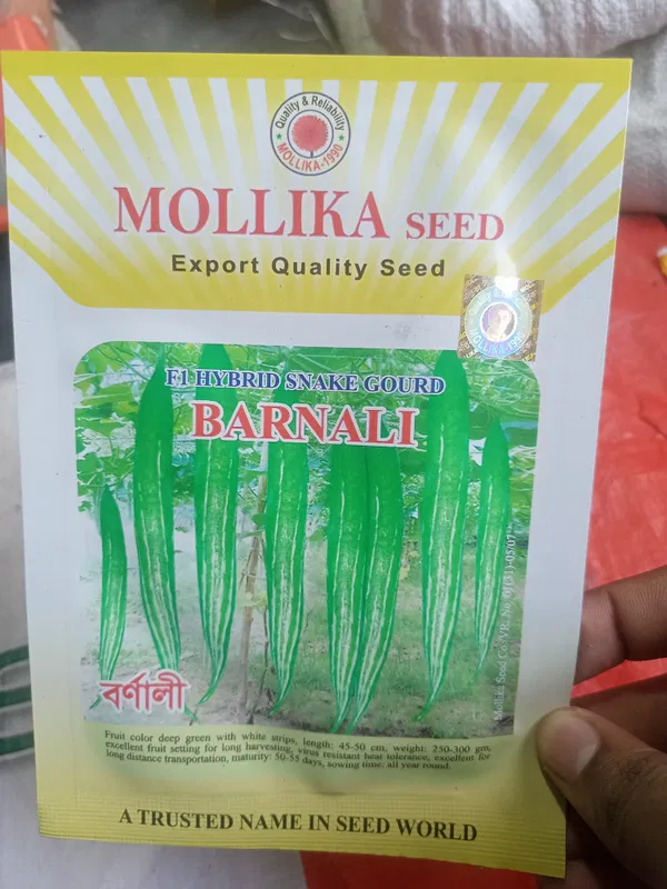 হাইব্রিড চিচিঙ্গার বীজ বর্ণালী । F1 Hybrid Snake gourd seed Barnali