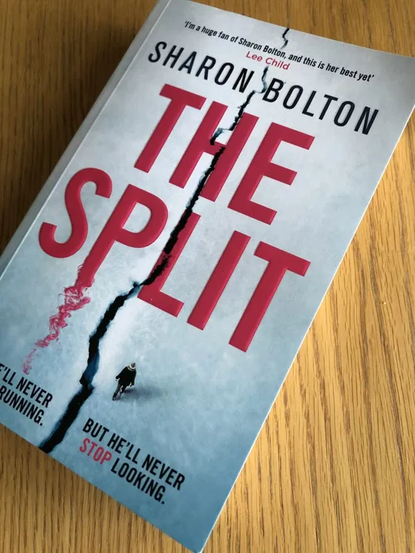 The split by Sharon Bolton