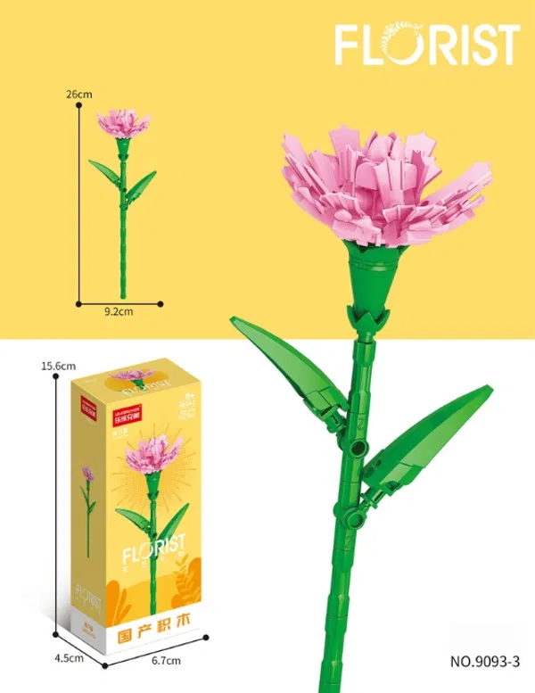 Carnation