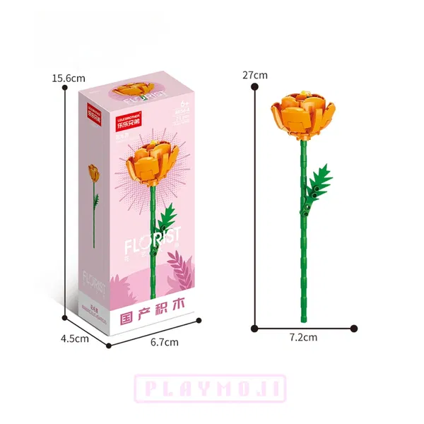 Ranunculus Flower