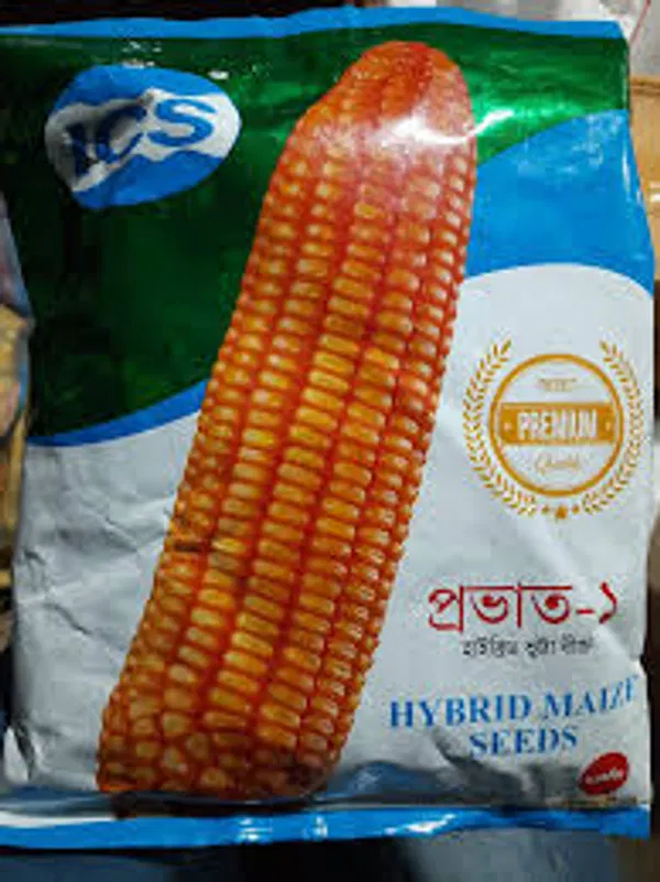 হাইব্রিড ভুট্টার বীজ প্রভাত -১ ( ৫৫ সেগমেন্ট ) । Hybrid corn seed Prabhat 1 or Povat 1 ( 55 segment )