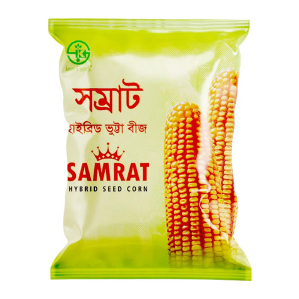 হাইব্রিড ভুট্টার বীজ সম্রাট । Hybrid corn seed Samrat