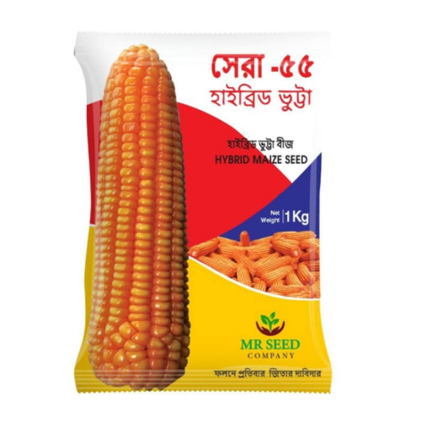 হাইব্রিড ভুট্টা  সেরা ৫৫ ।  Hybrid Maize Sera 55