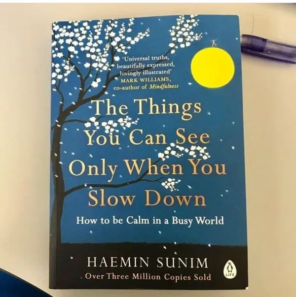 The Things You Can See Only When You Slow Down by Haemin Sunim